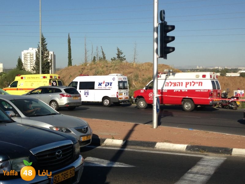 sha7enaramlalud527 (10).jpg